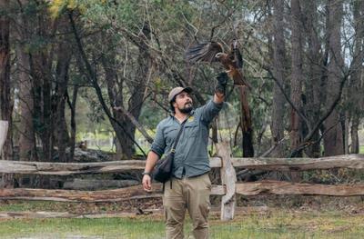 Capes Raptor Centre