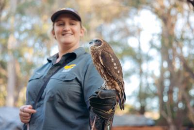 Capes Raptor Centre