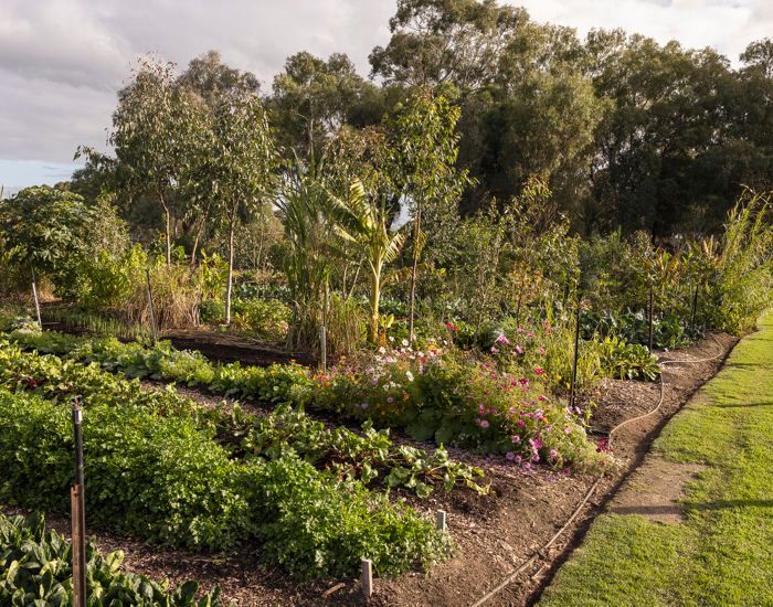 11 Acre Farm