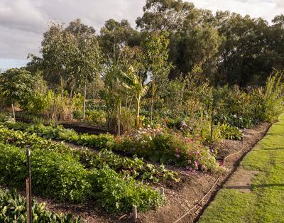 11 Acre Farm