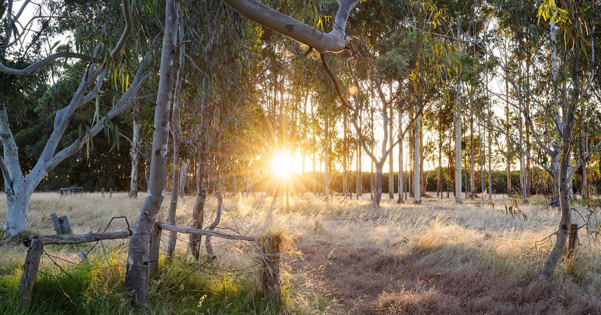 11 Acre Farm