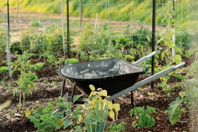 11 Acre Farm
