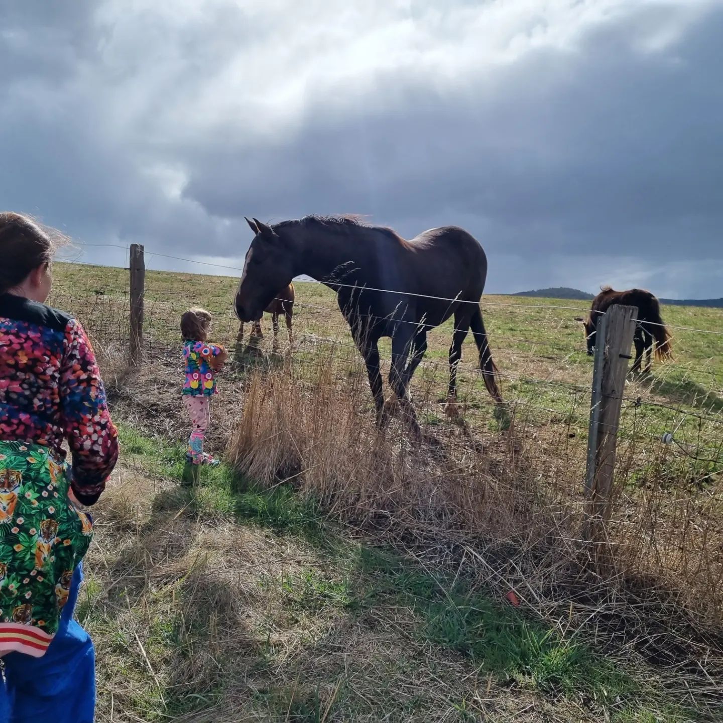 The Hygge Farm