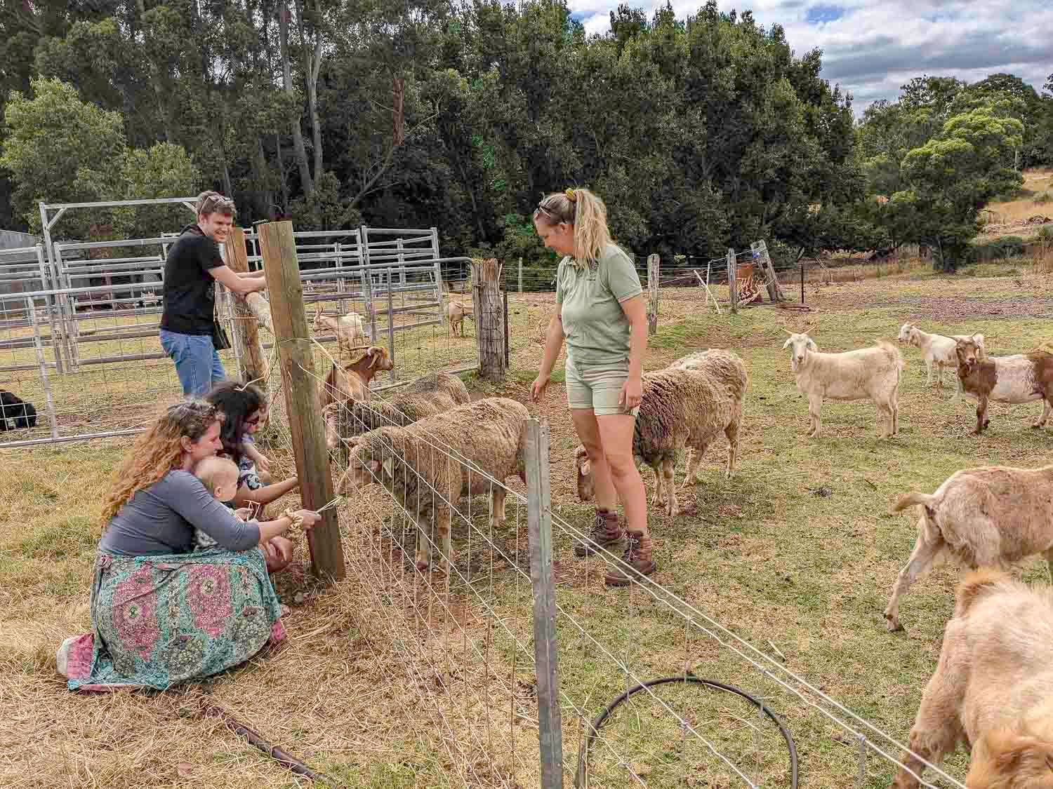 The Hygge Farm