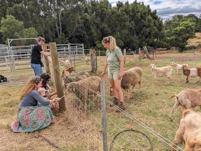 The Hygge Farm