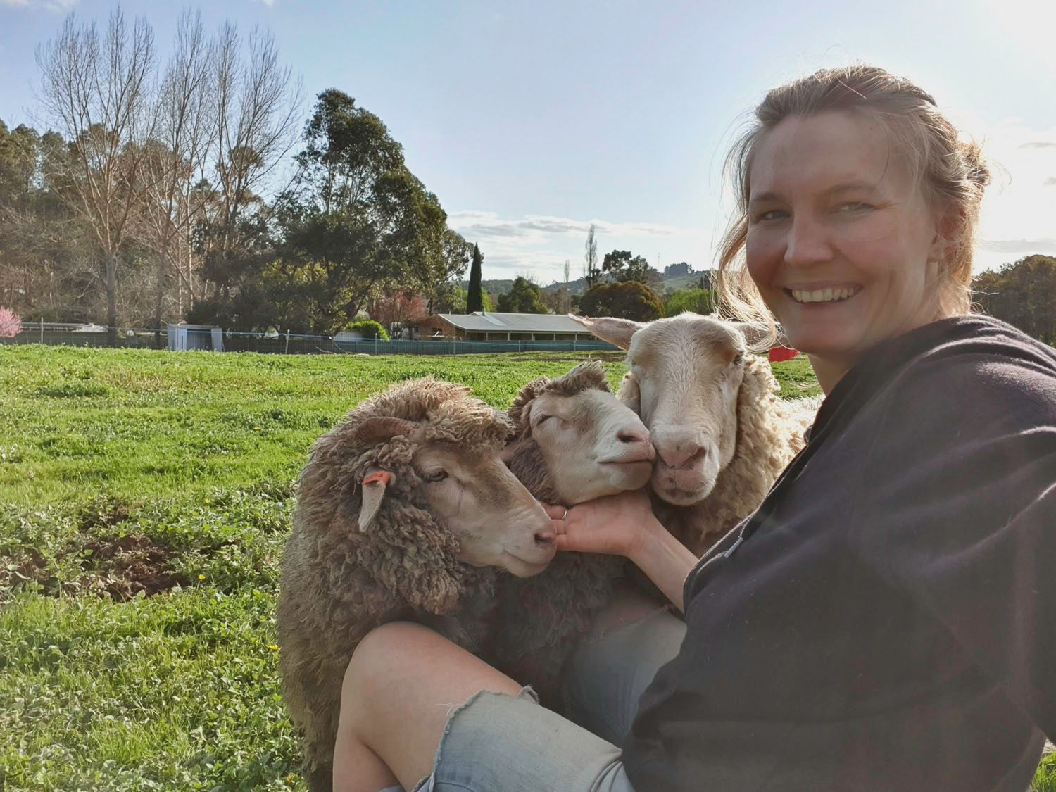 The Hygge Farm