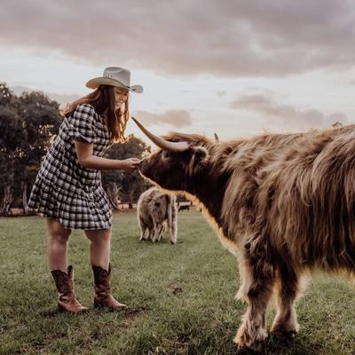 Rhan’z Barn- Highland Cow Tours and Farm Stay