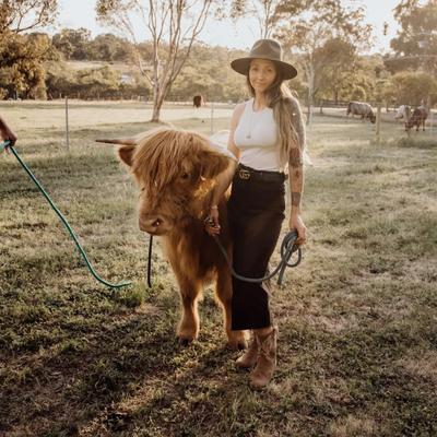 Rhan’z Barn- Highland Cow Tours and Farm Stay