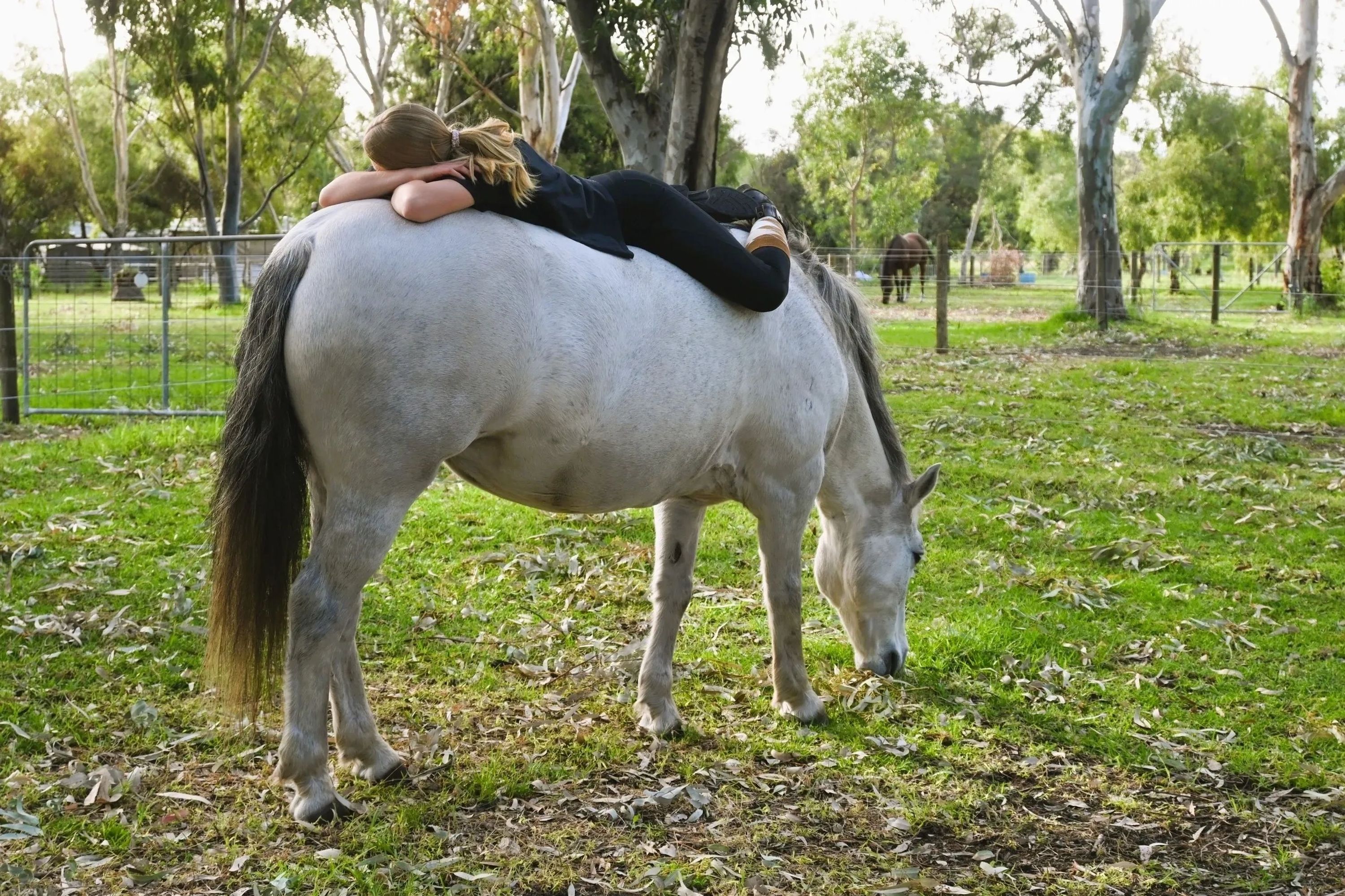 Girl lying on a white horse in a peaceful green pasture.