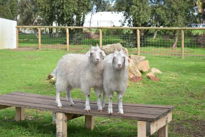 Landsdale Farm