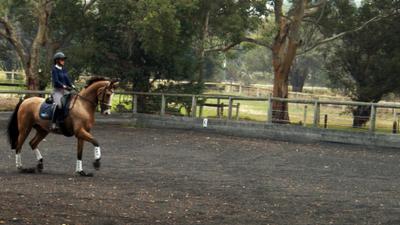 Centura Riding School