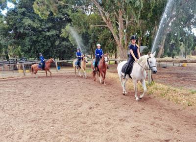 Centura Riding School