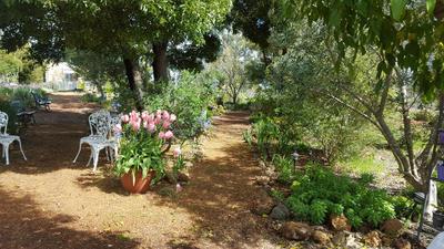 Nannup Lavender Camping and Cottage