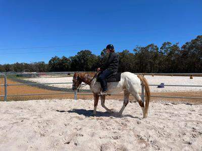 S&L Horse Services