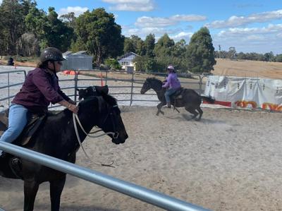 S&L Horse Services
