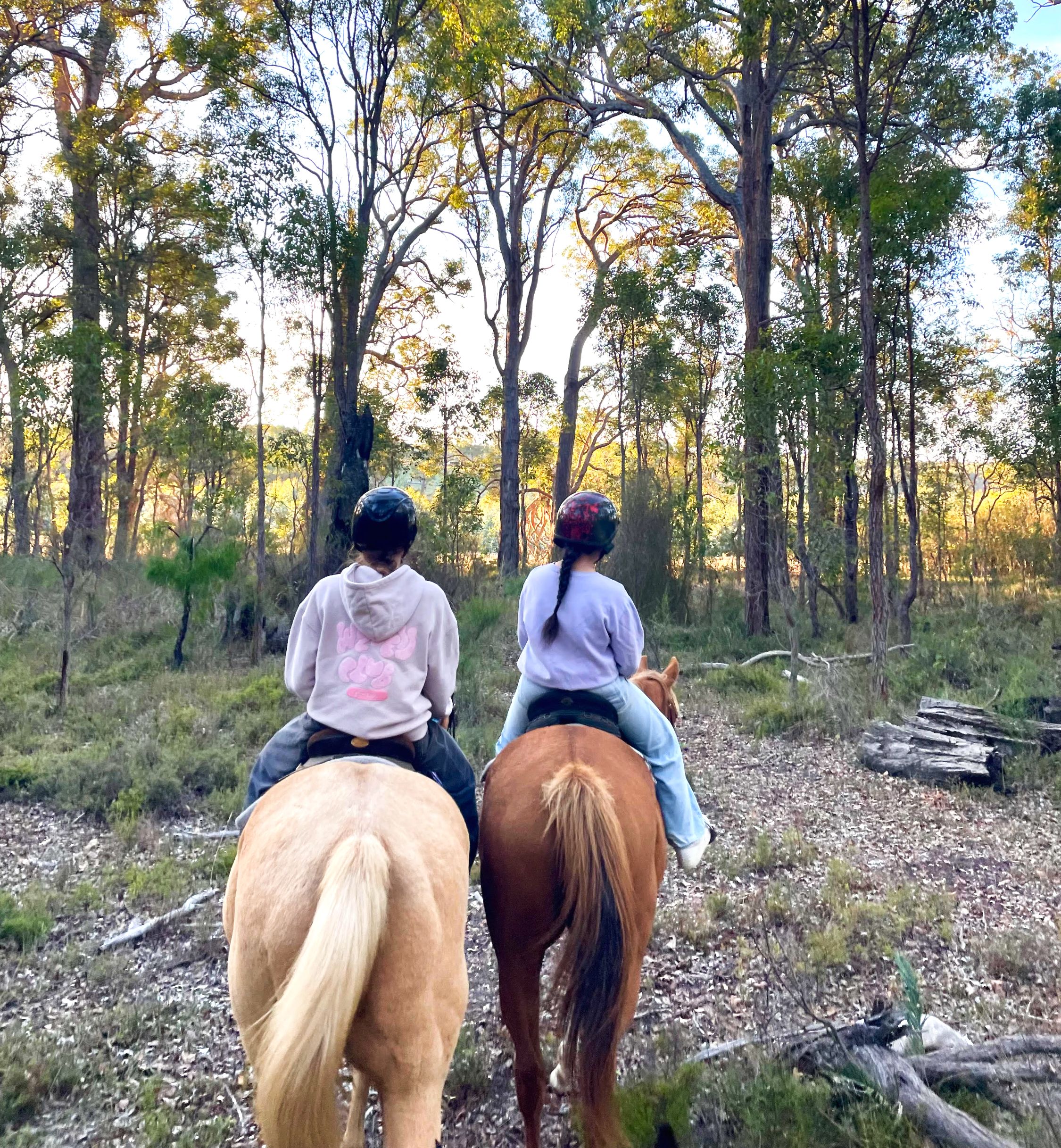 S&L Horse Services