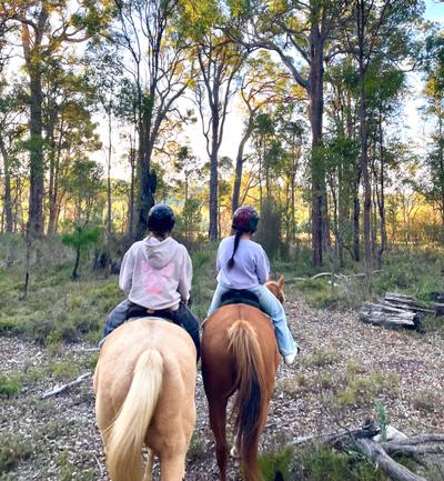 S&L Horse Services