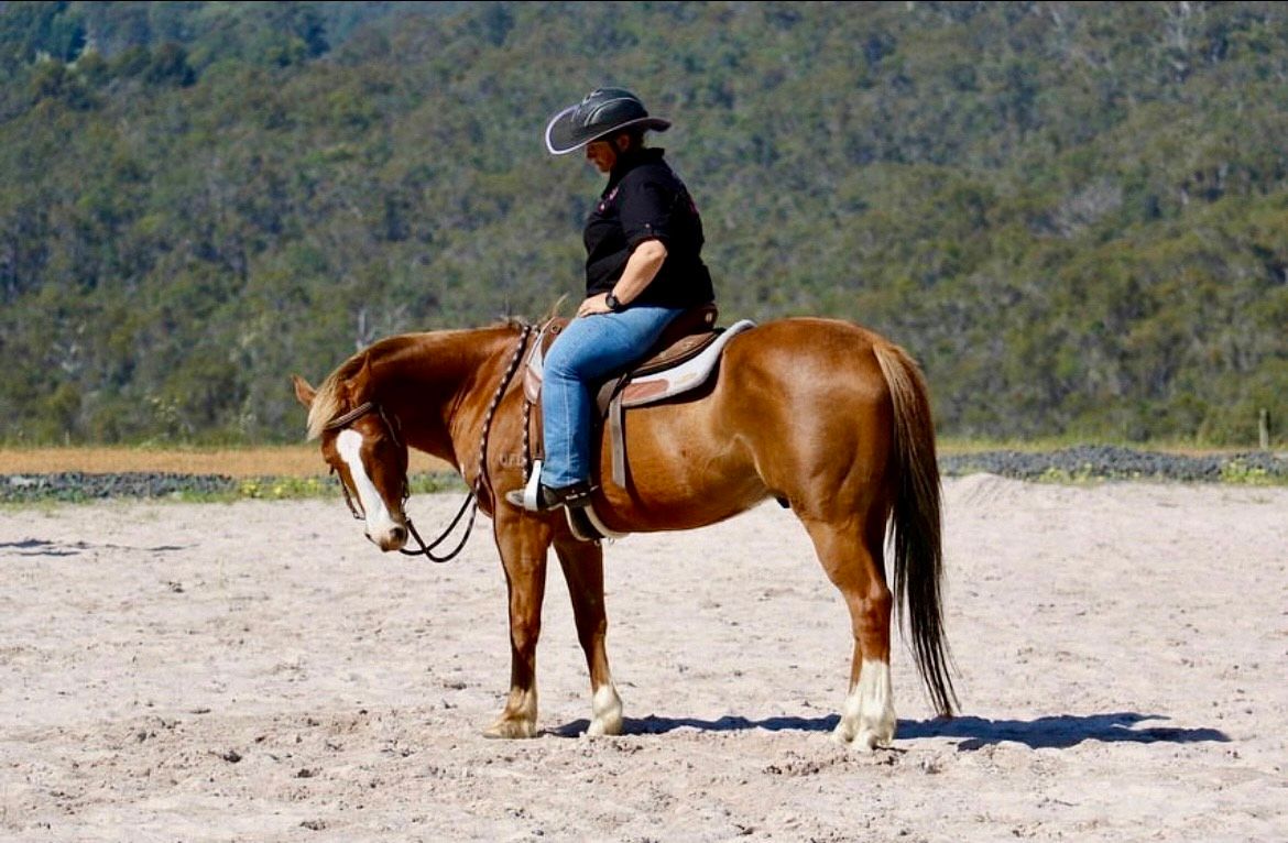 S&L Horse Services