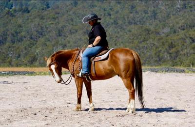 S&L Horse Services