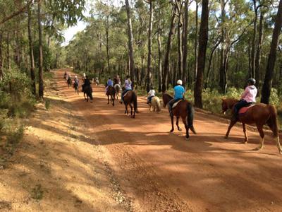 S&L Horse Services