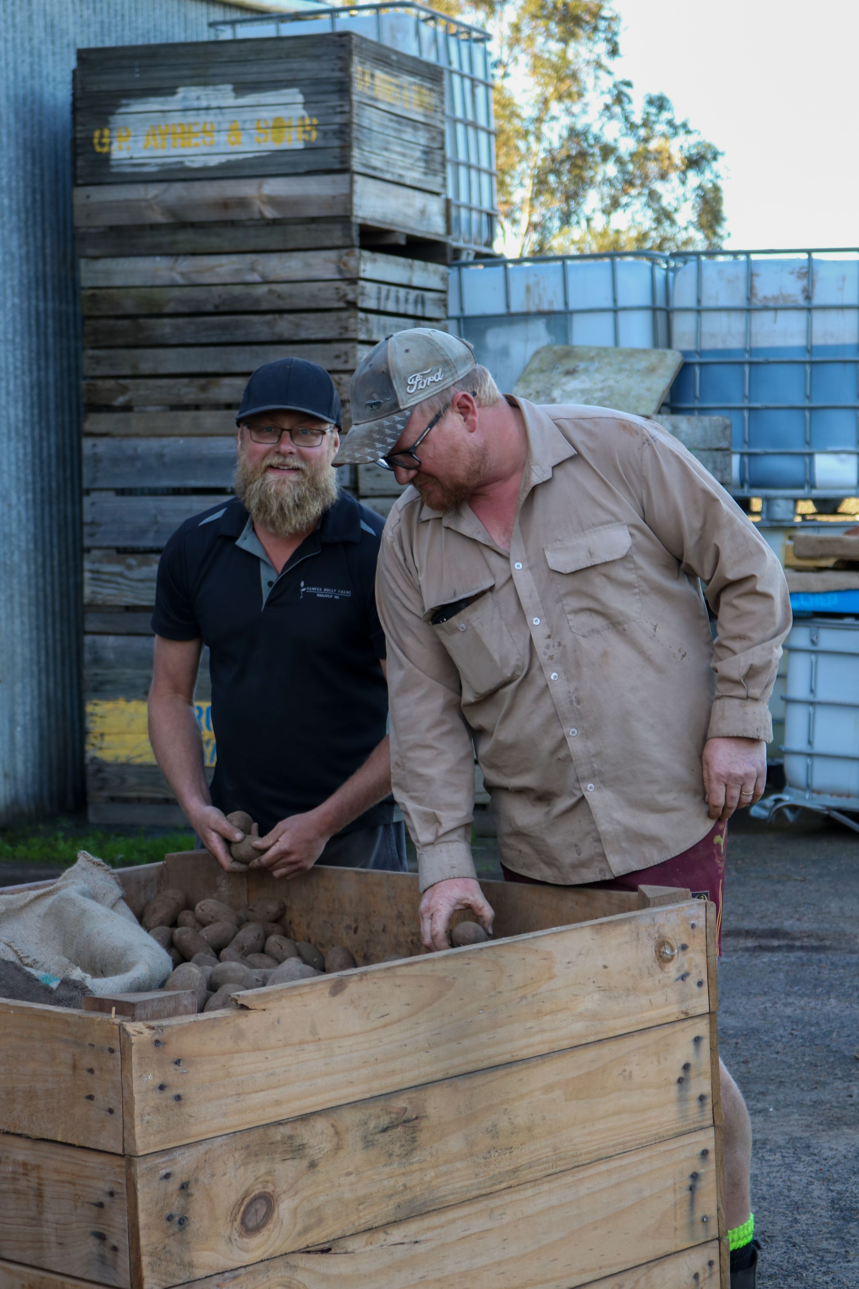 Damper Gully Farms