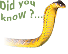The West Australian Reptile Park