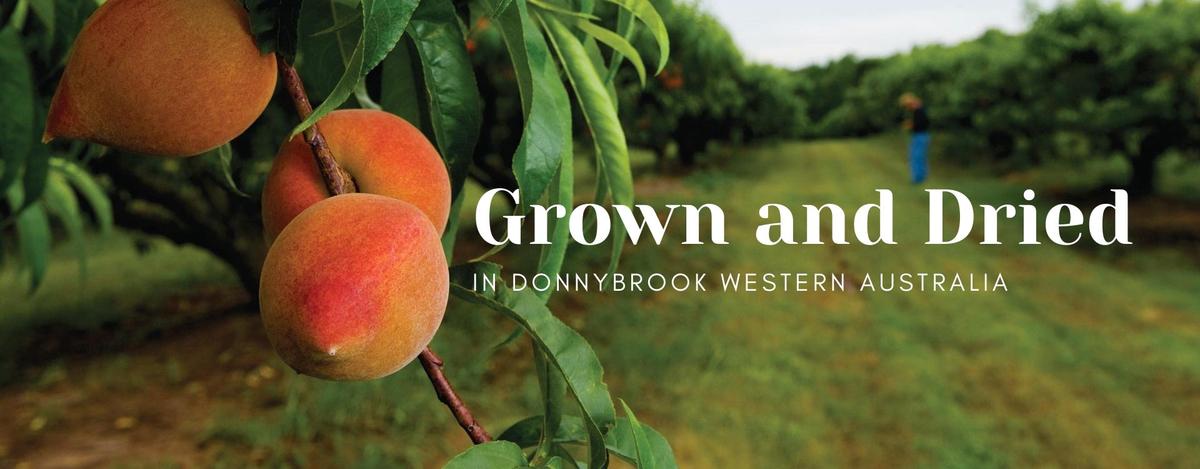 Media 1