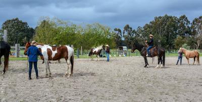 Horsemanship Courses