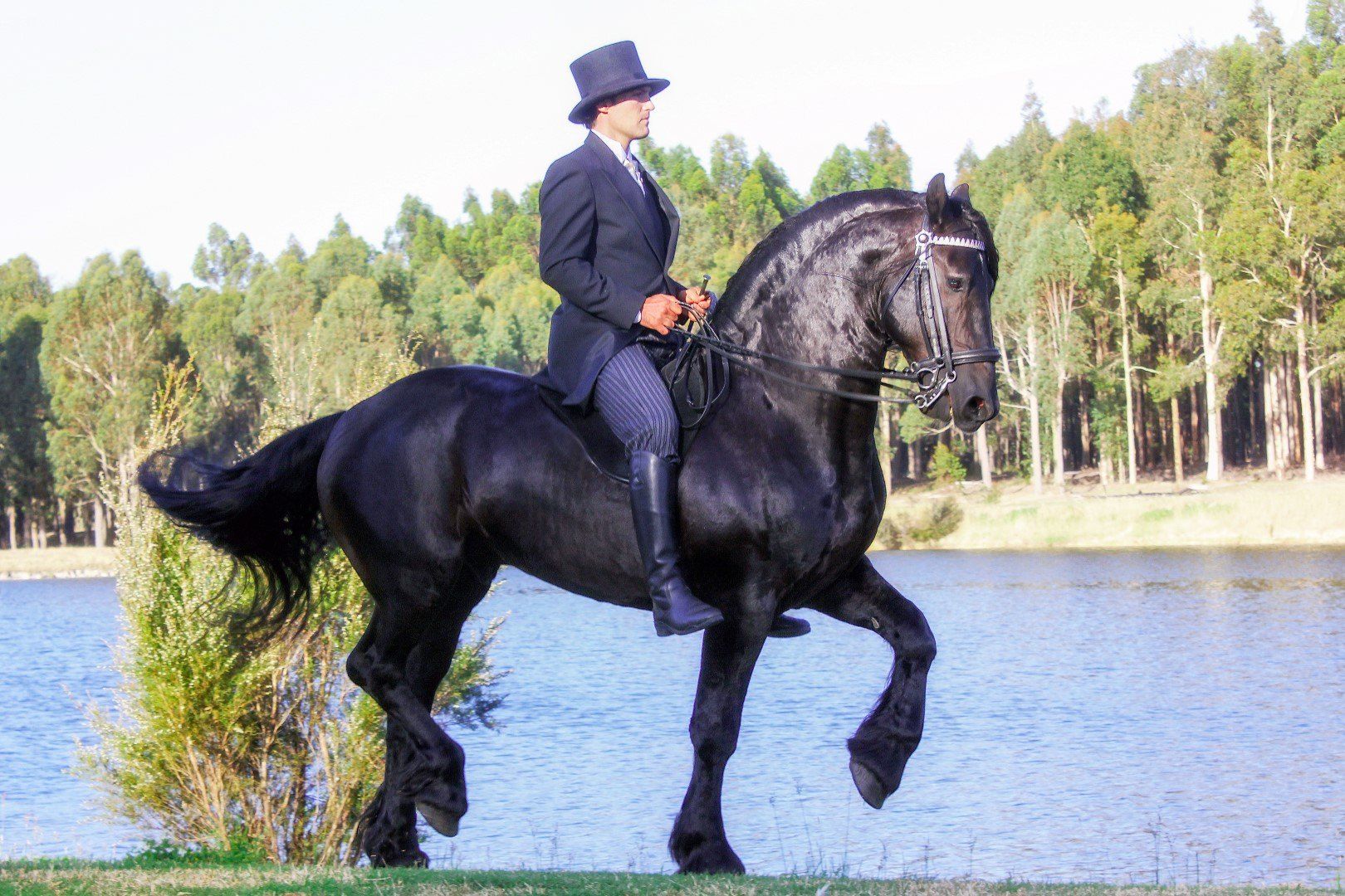 The Horse Resort - horse riding in Margaret River
