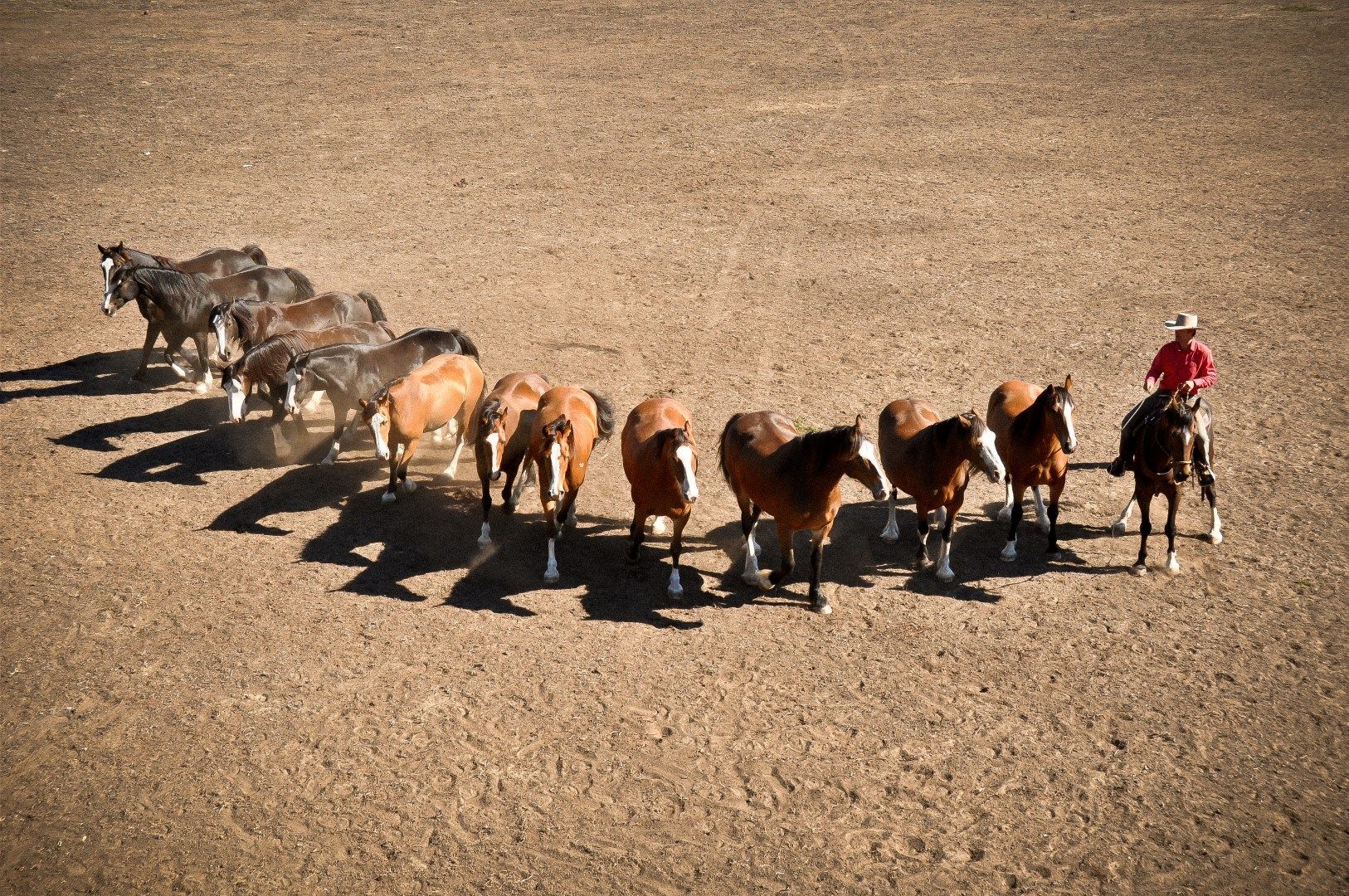 The Horse Resort - horse riding in Margaret River