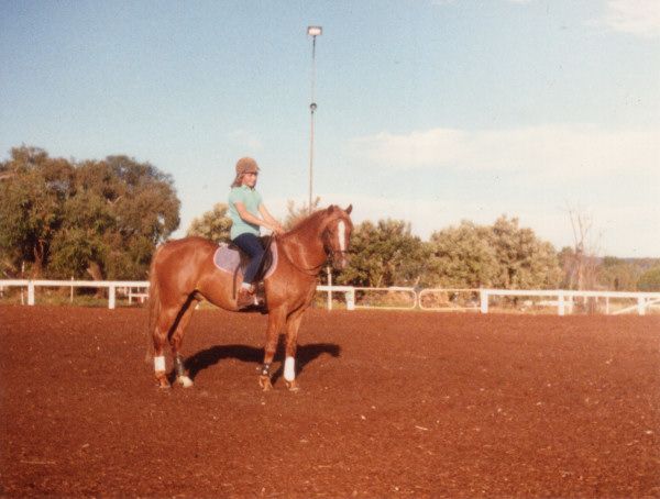 Brockman's Riding School