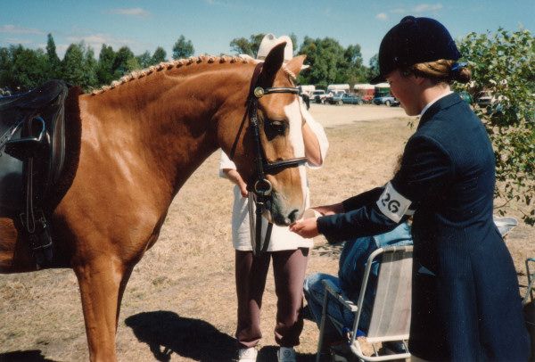 Brockman's Riding School