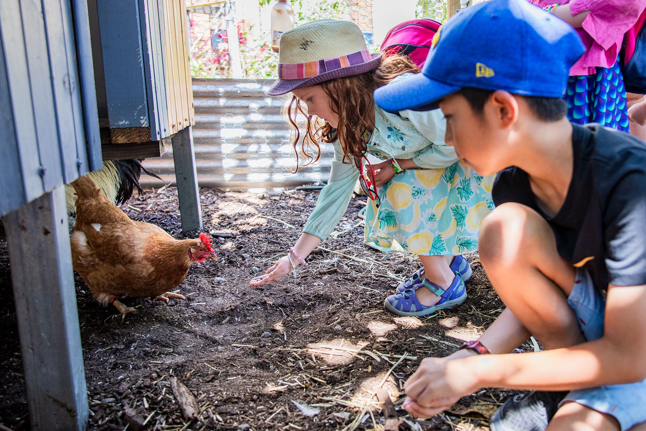 Perth City Farm
