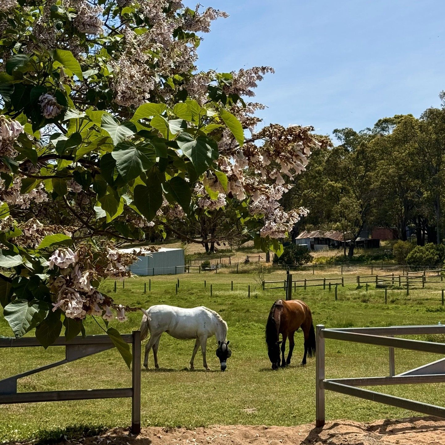 Chidlow Estate