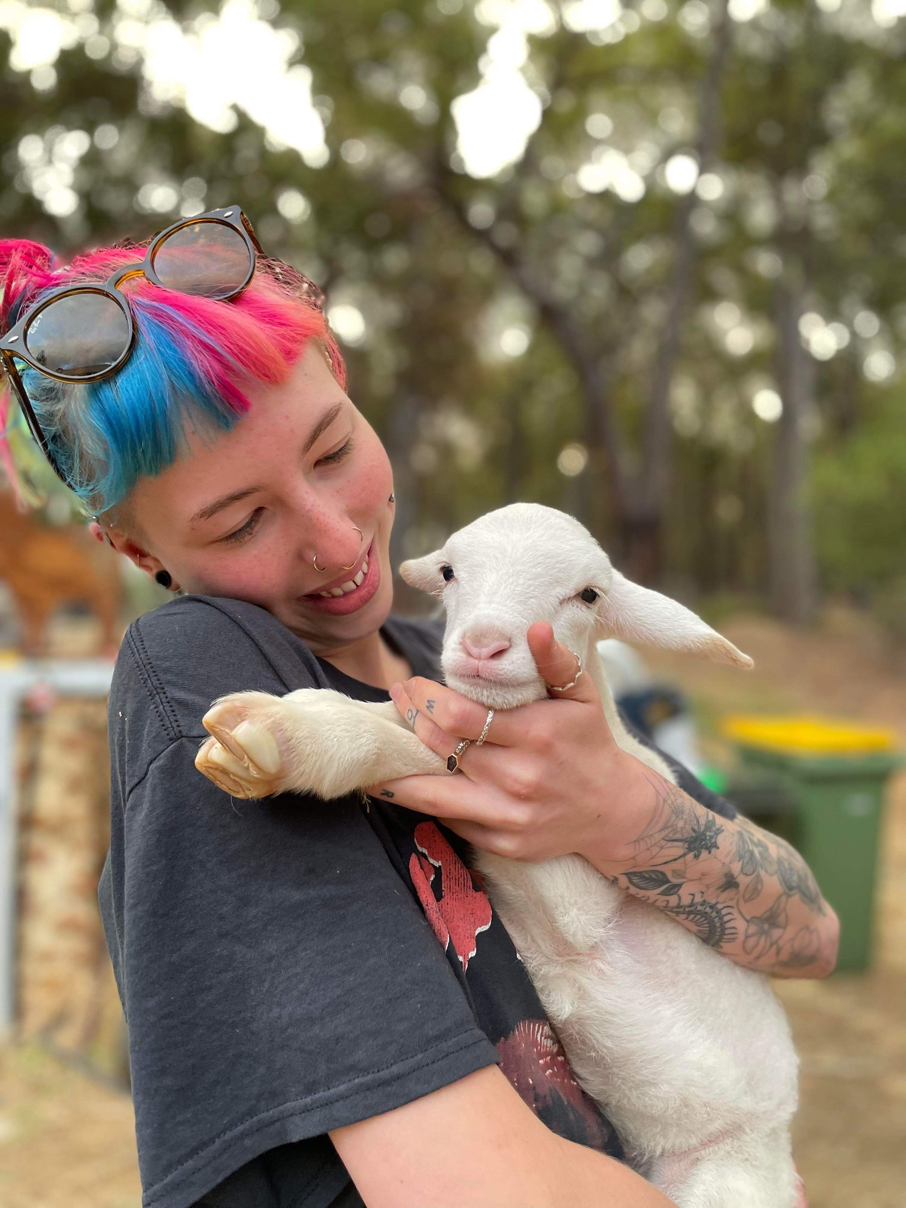 Possum Valley Animal Sanctuary
