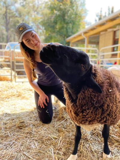 Possum Valley Animal Sanctuary