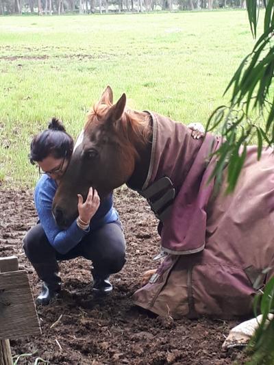 Equine Assisted Healing in action