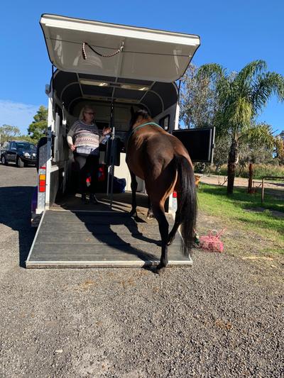Mohegan Equestrian & Healing Centre