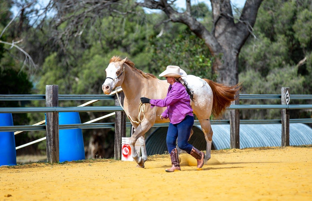 Mohegan Equestrian & Healing Centre