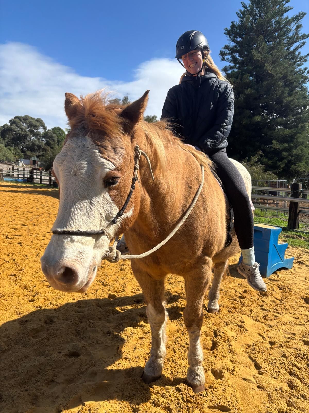 Mohegan Equestrian & Healing Centre