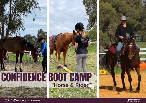 Mohegan Equestrian & Healing Centre