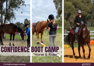 Mohegan Equestrian & Healing Centre