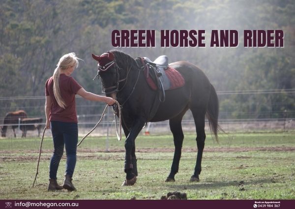 Mohegan Equestrian & Healing Centre
