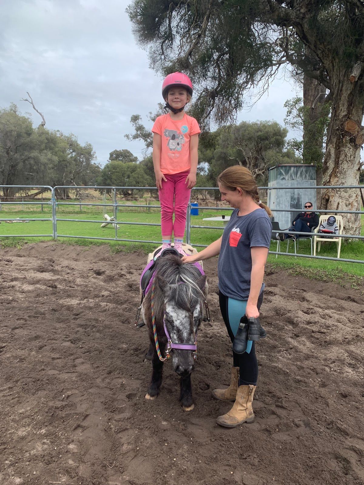Mohegan Equestrian & Healing Centre