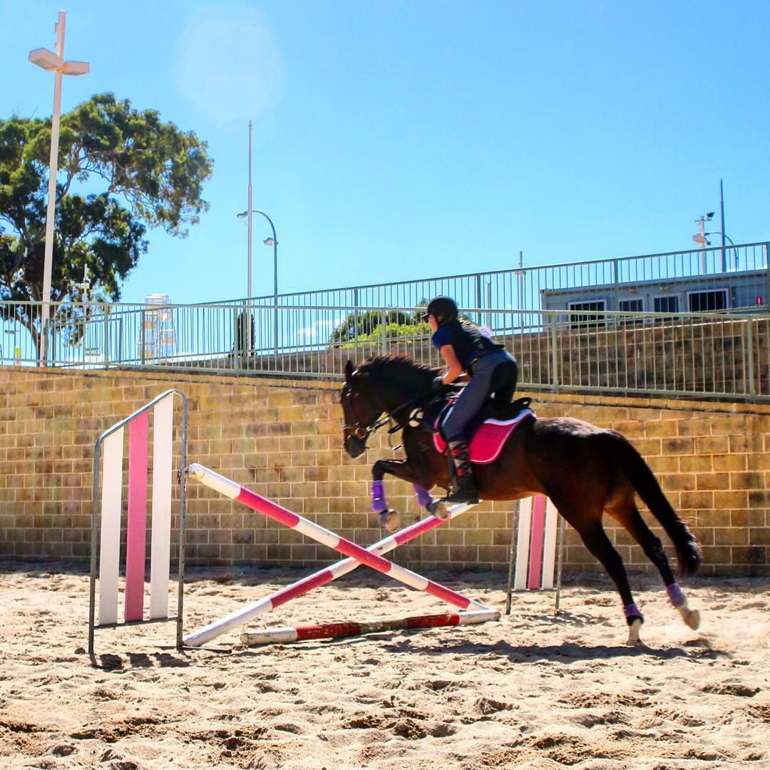 Showgrounds Equestrian Centre