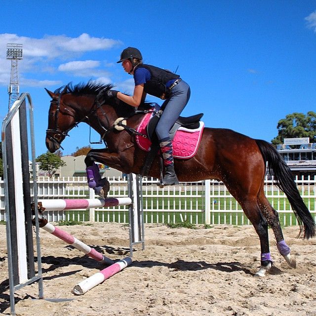 Showgrounds Equestrian Centre