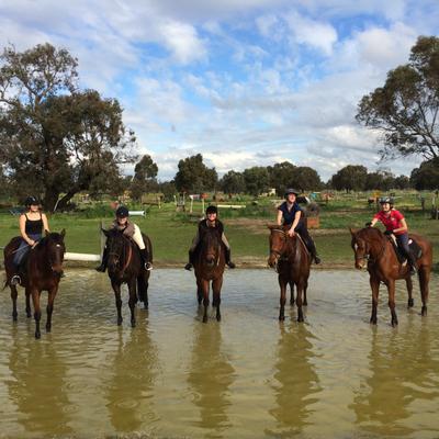 Showgrounds Equestrian Centre
