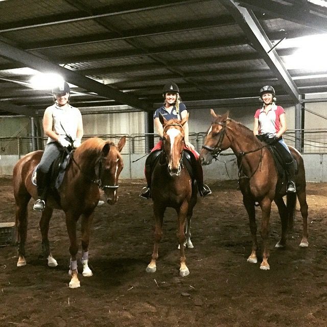 Showgrounds Equestrian Centre