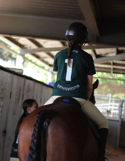 Showgrounds Equestrian Centre