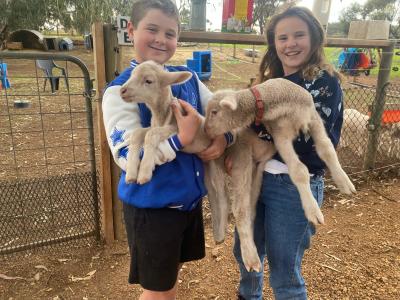A DAY AT THE FARM TOODYAY